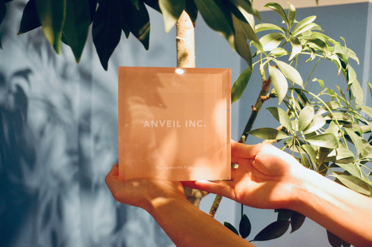 anveil が大切にしている「3つの価値観VALUE」とは？ 代表インタビュー