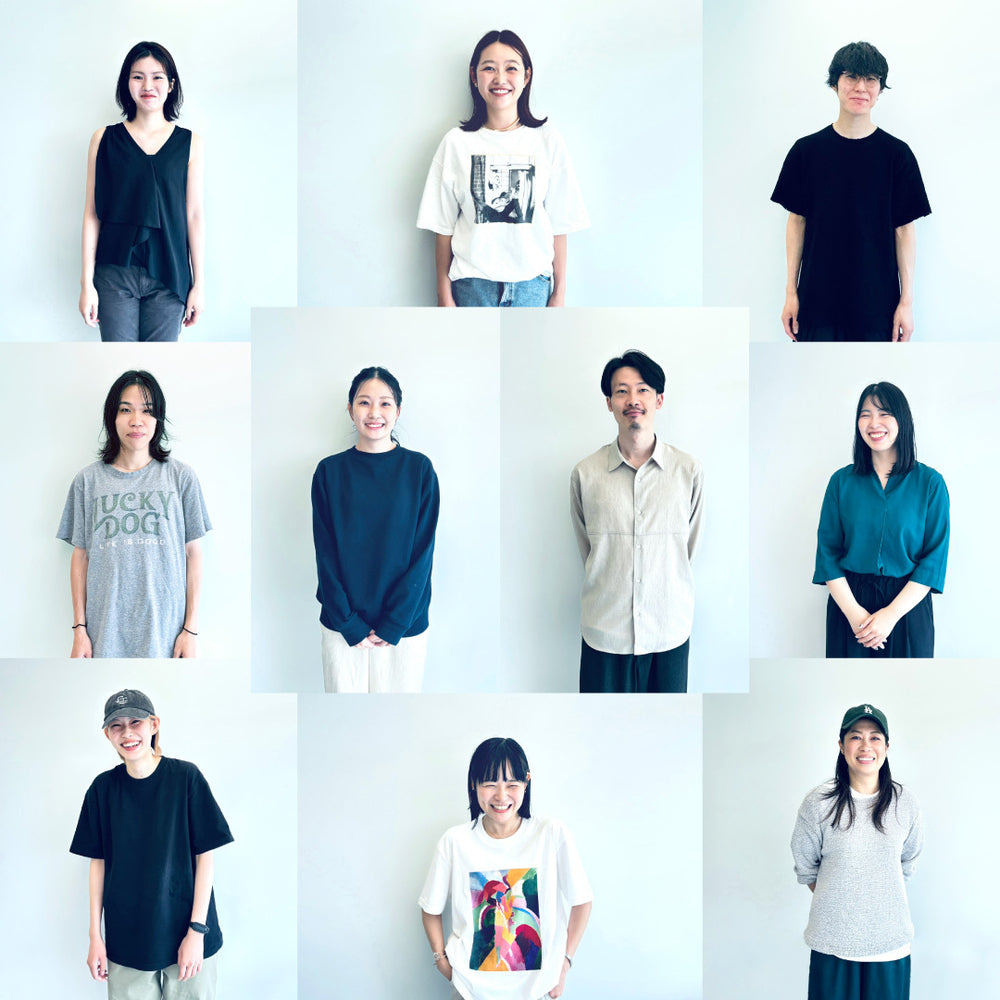 anveil member